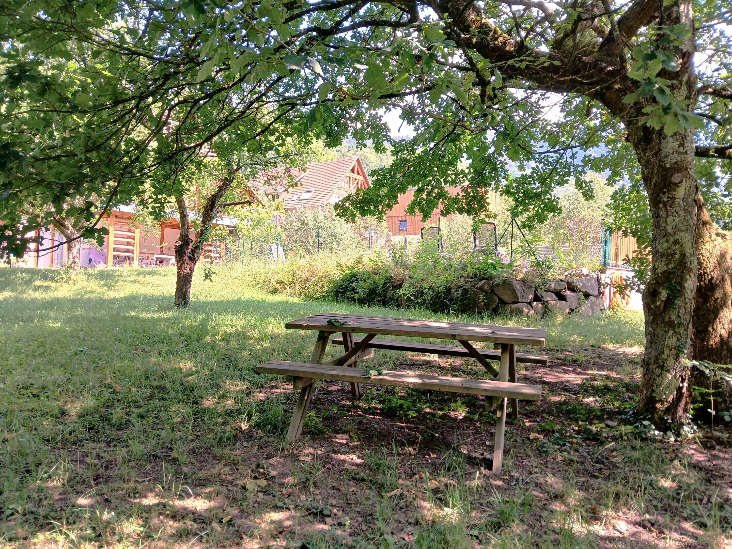 Une table de pique-nique se trouve dans un espace verdoyant, avec des arbres et un bâtiment en arrière-plan.