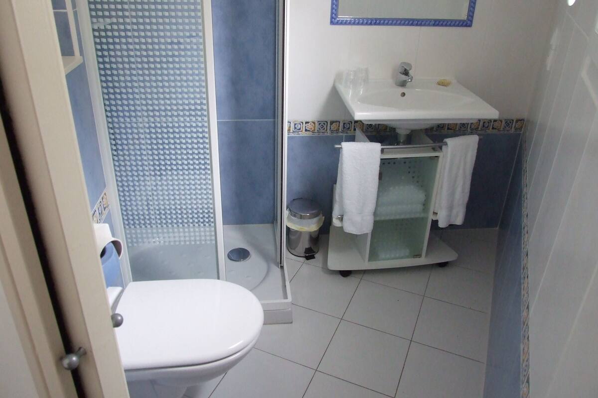 basic double or twin room (aigrette) | bathroom | shower, rainfall showerhead, free toiletries, hair dryer