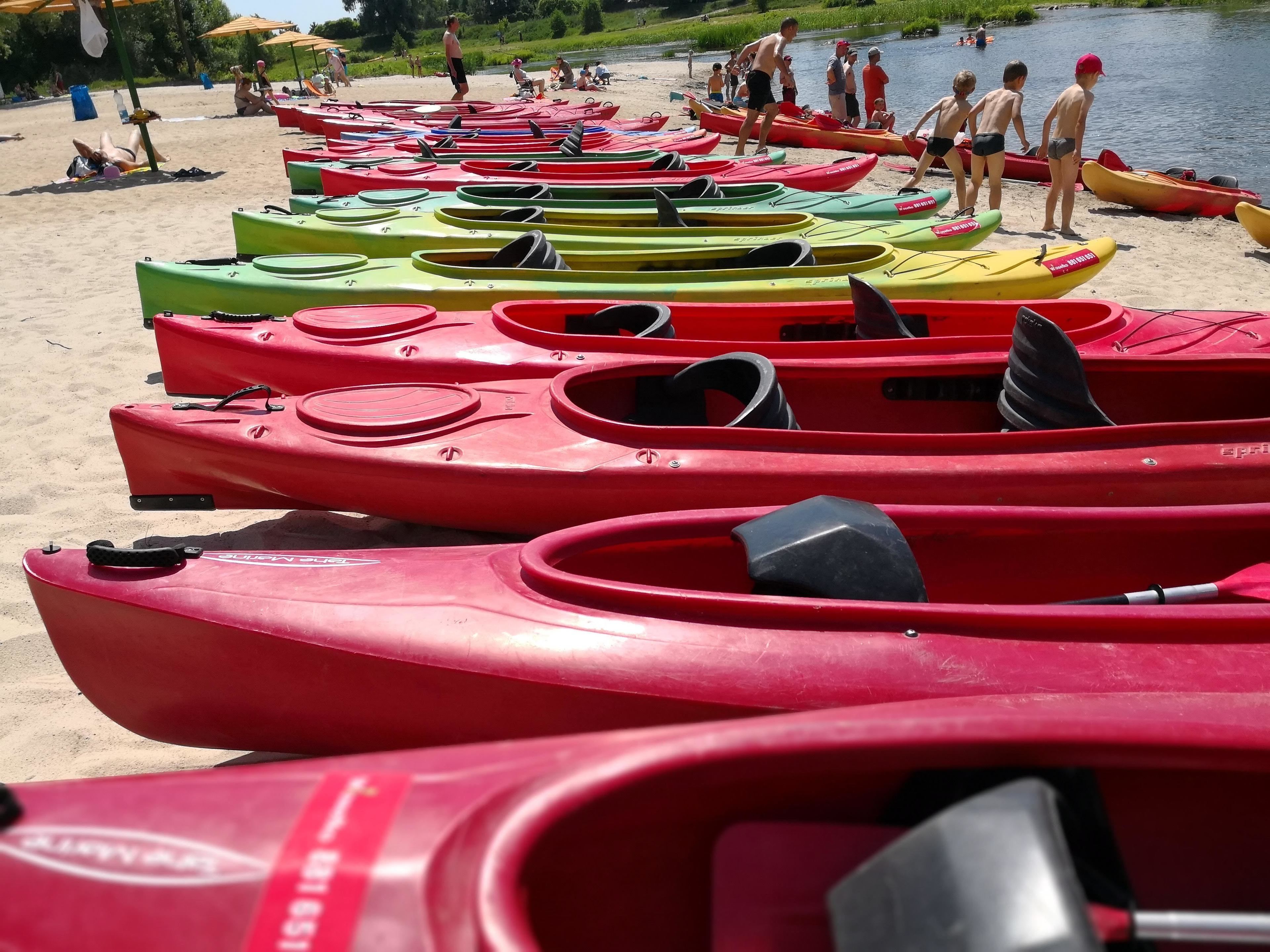 A row of brightly colored kayaks lined up on a sandy beach.