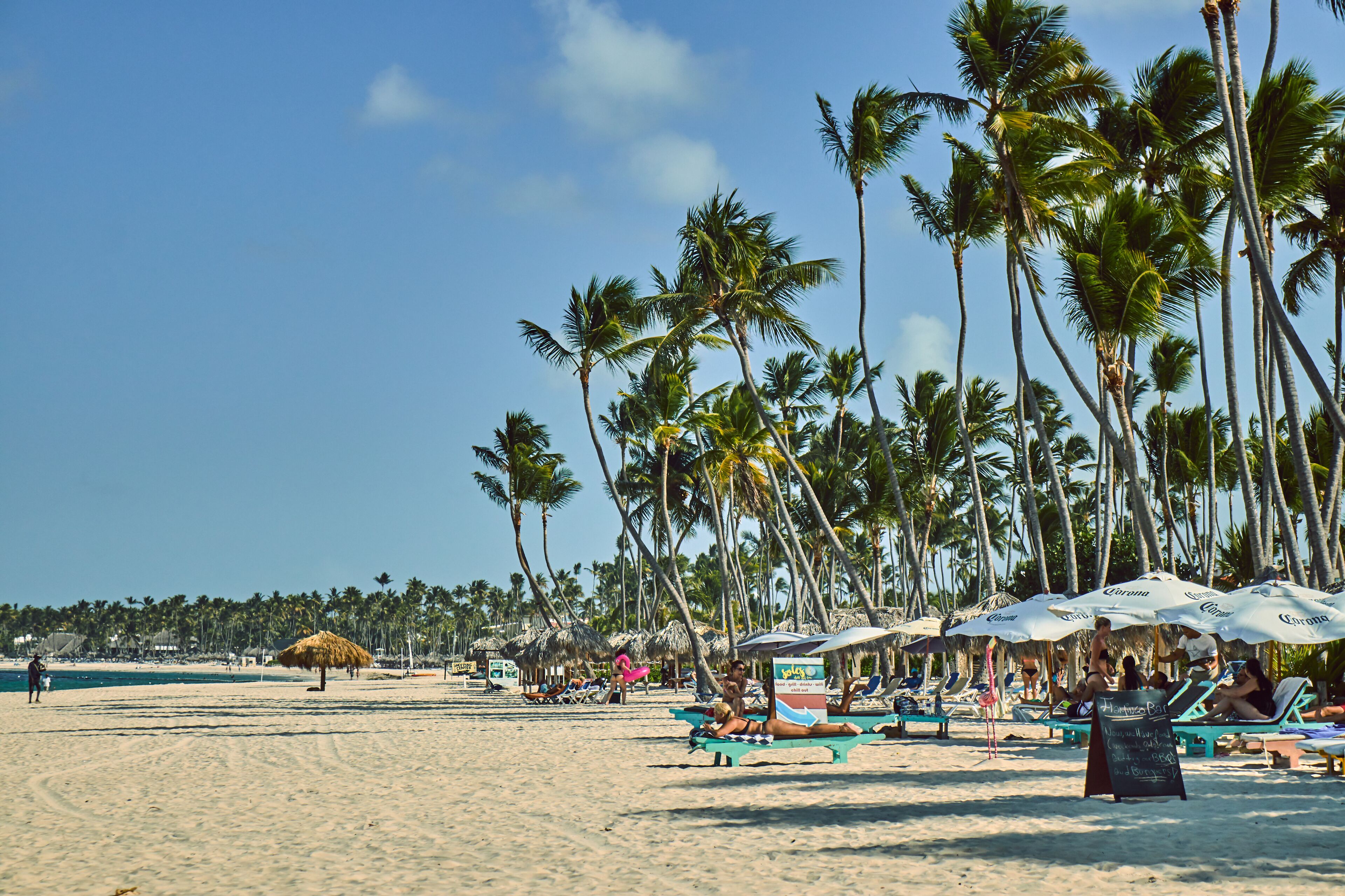 A beach with palm trees, lounge chairs, and umbrellas.