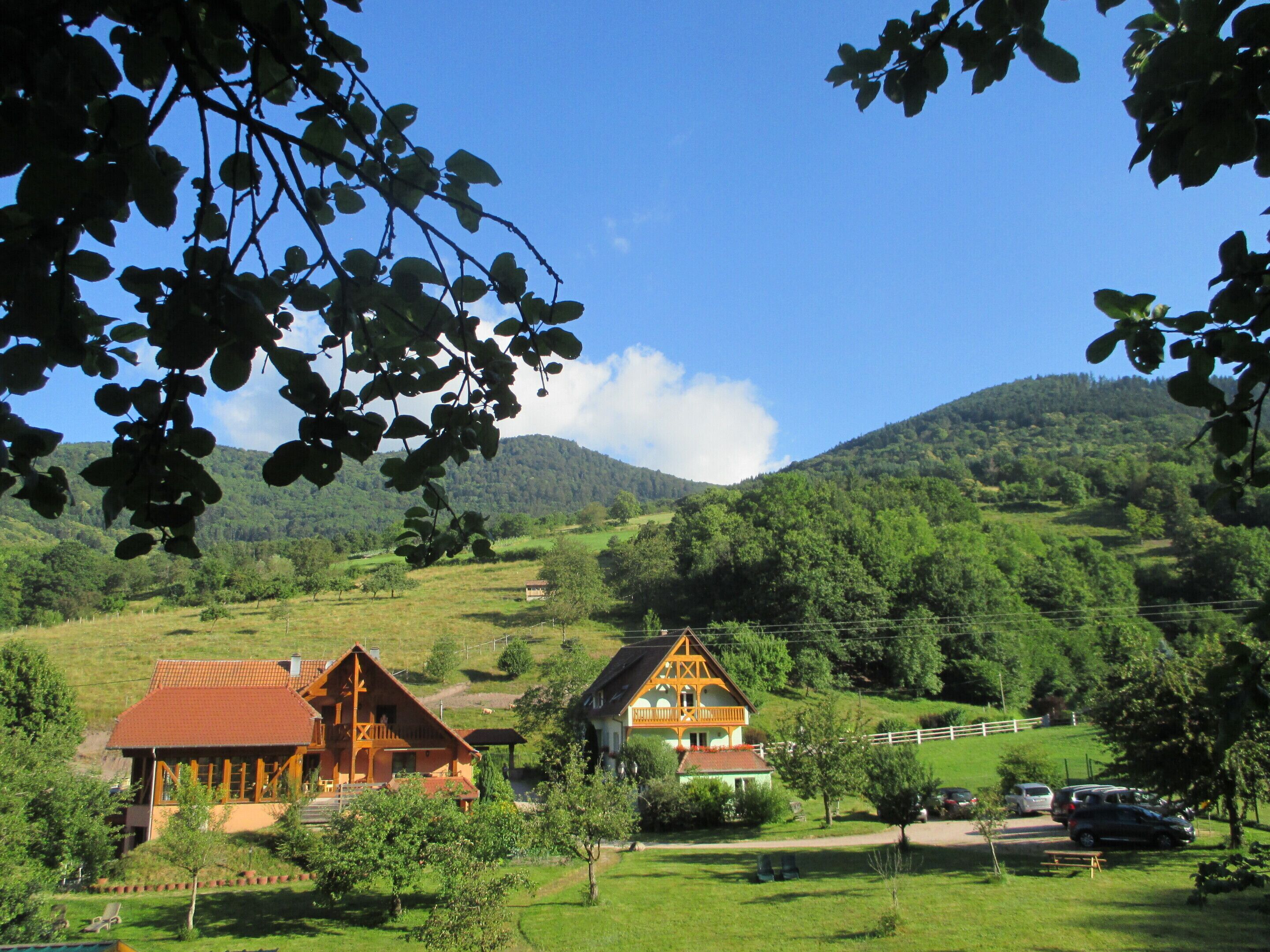 Deluxe Cottage, Accessible, Private Bathroom (vue sur les vergers) | Garden