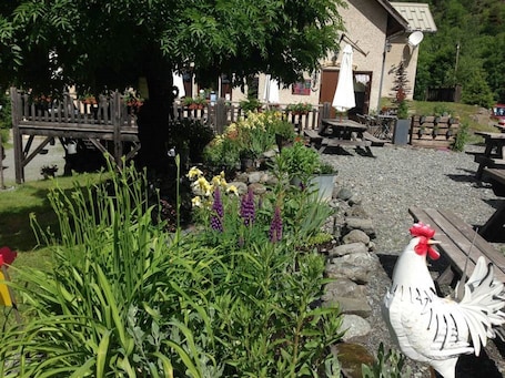 Área de parrillas y picnic