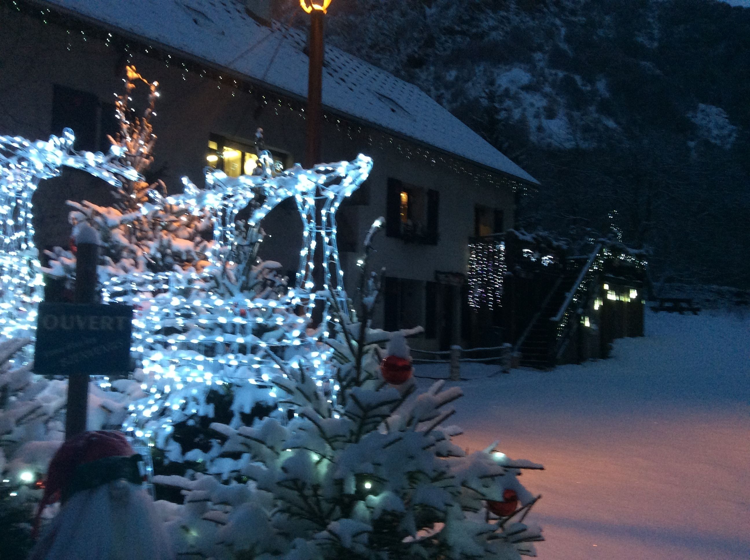 Quadruple Room | View from room