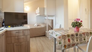 Habitación compacta con cama, televisión, mesa de comedor con planta y kitchenette.