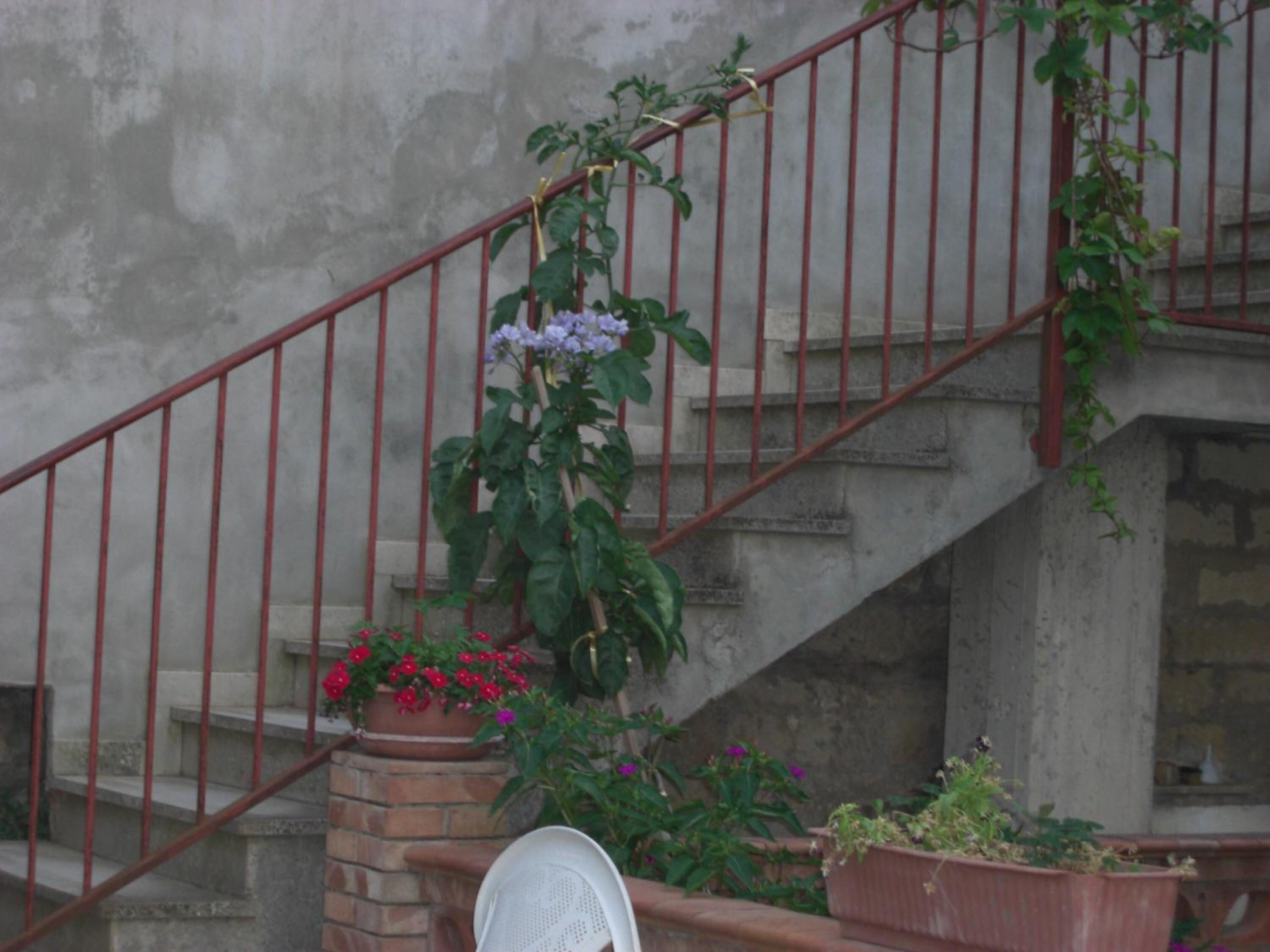 A staircase with red railings, a brick wall, and potted plants with flowers.