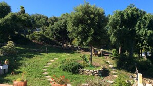 A garden with a stone pathway, potted plants, and a variety of trees. - La Valle Dei Corbezzoli (Sassari)