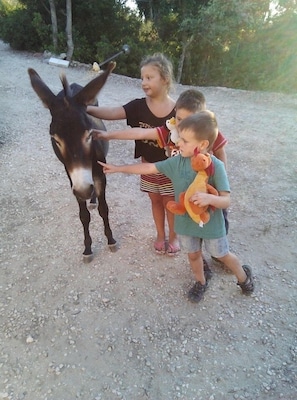 Kinderbereich