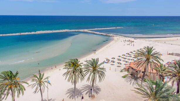 Una playa con aguas turquesas cristalinas, una orilla de arena y palmeras.