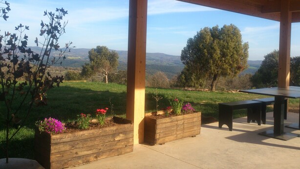 Terrace/patio - Alberg L' Auro - Hostel (Tora)