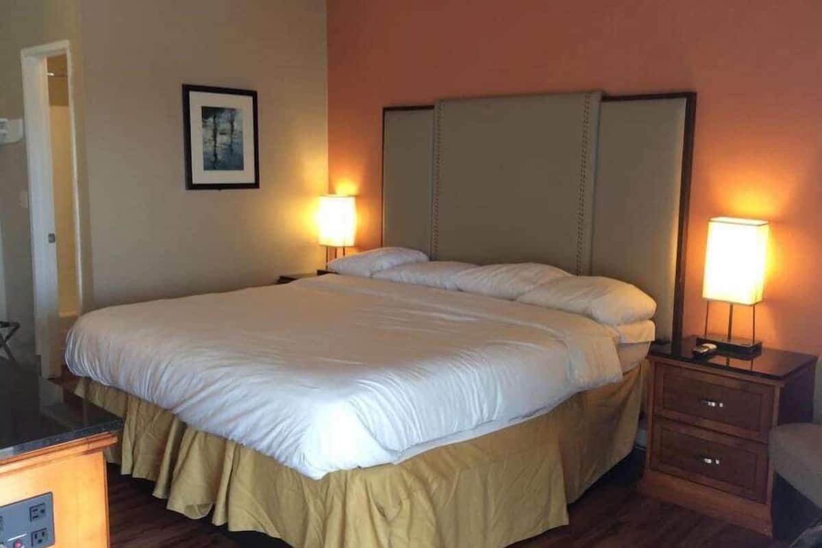 Habitación de hotel con una cama grande, dos mesitas de noche con lámparas, un cuadro enmarcado en la pared y una mesita de noche de madera.