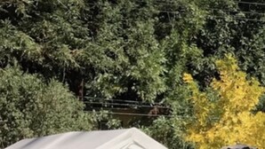 Ein Zelt mit überdachter Sitzgelegenheit und Tisch, gelegen auf einer grünen Wiese mit Bäumen im Hintergrund.