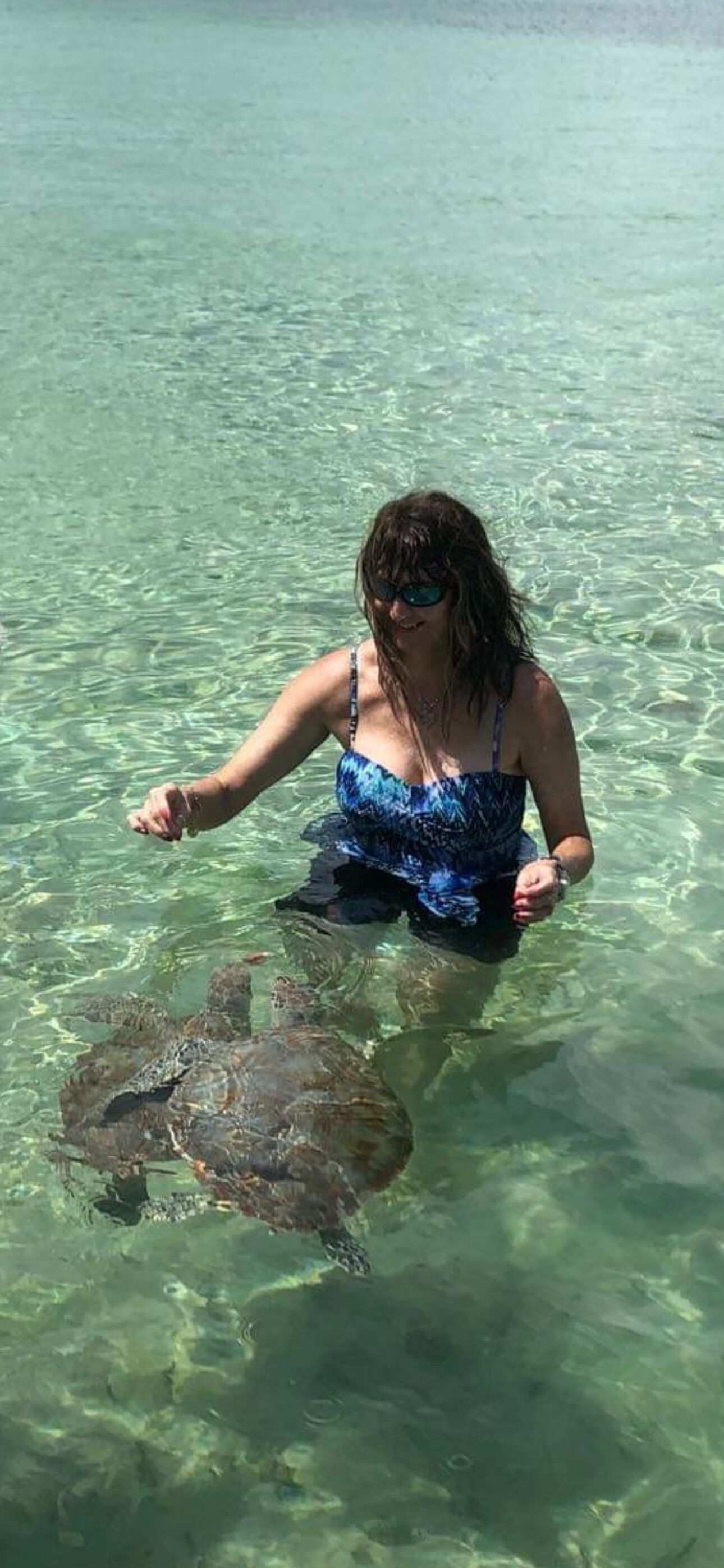 A person in a blue swimsuit holding a sea turtle in clear shallow water.