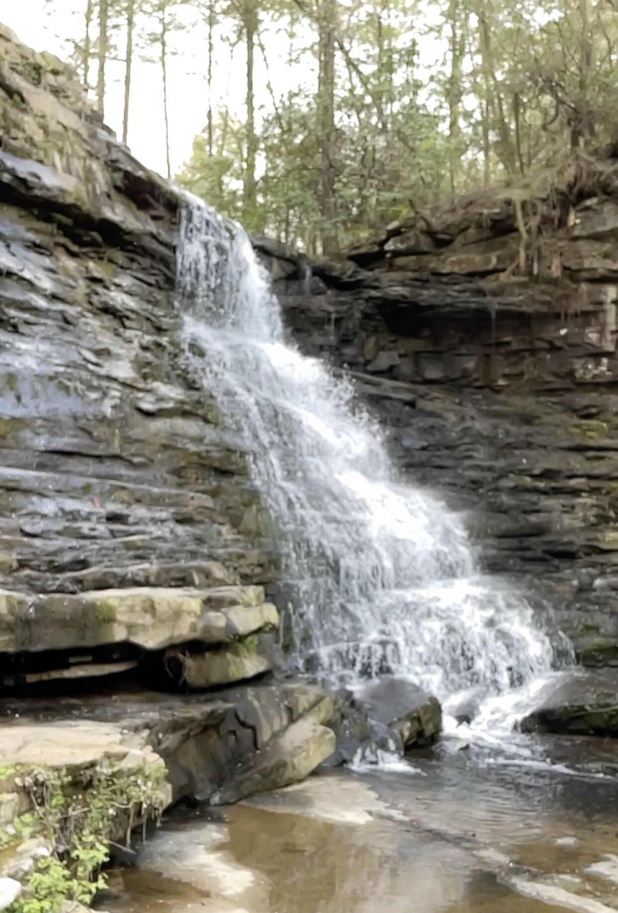 Une cascade se déversant le long d’une falaise rocheuse dans un bassin.