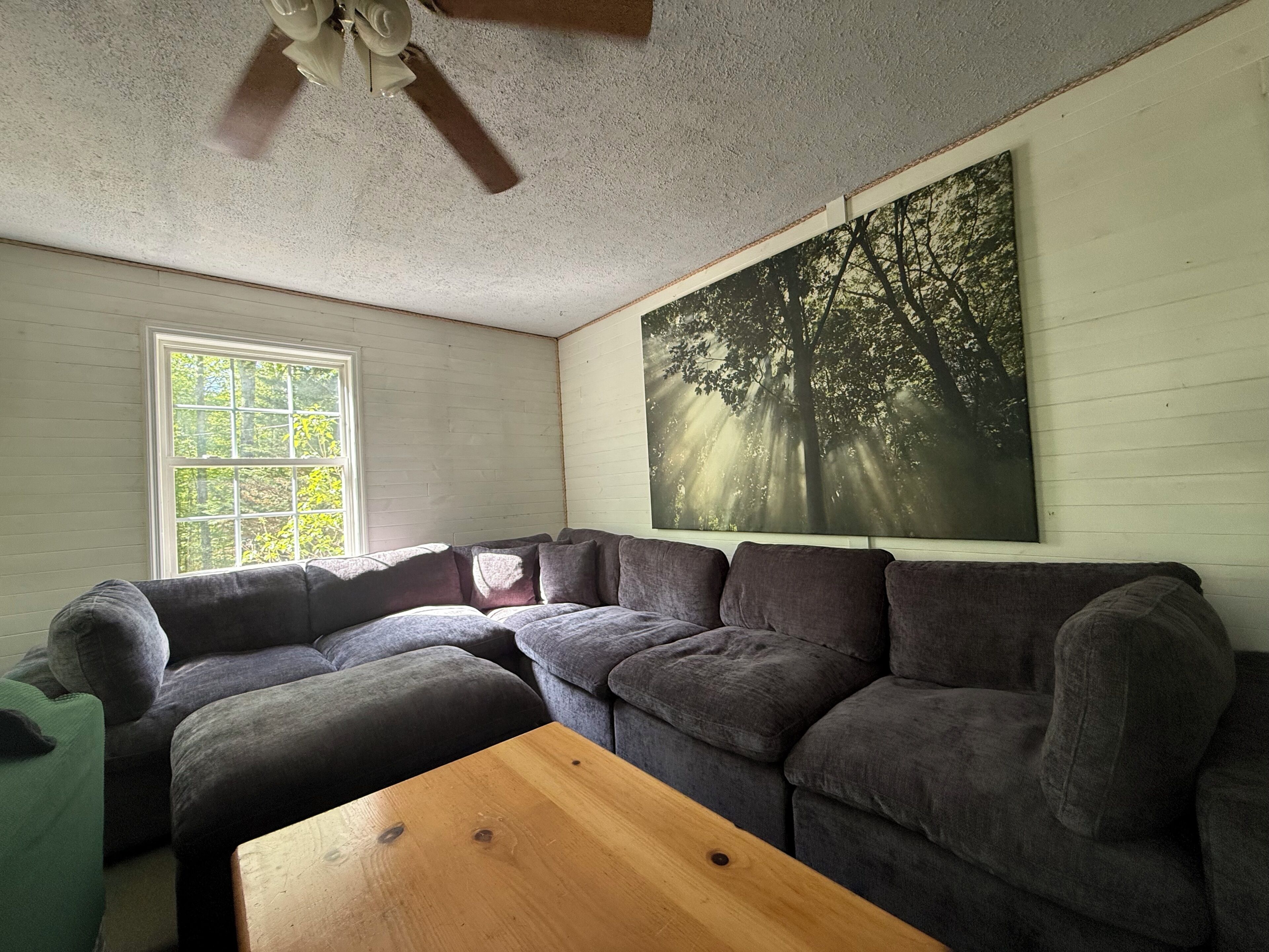 Smart TV, fireplace, books, stereo