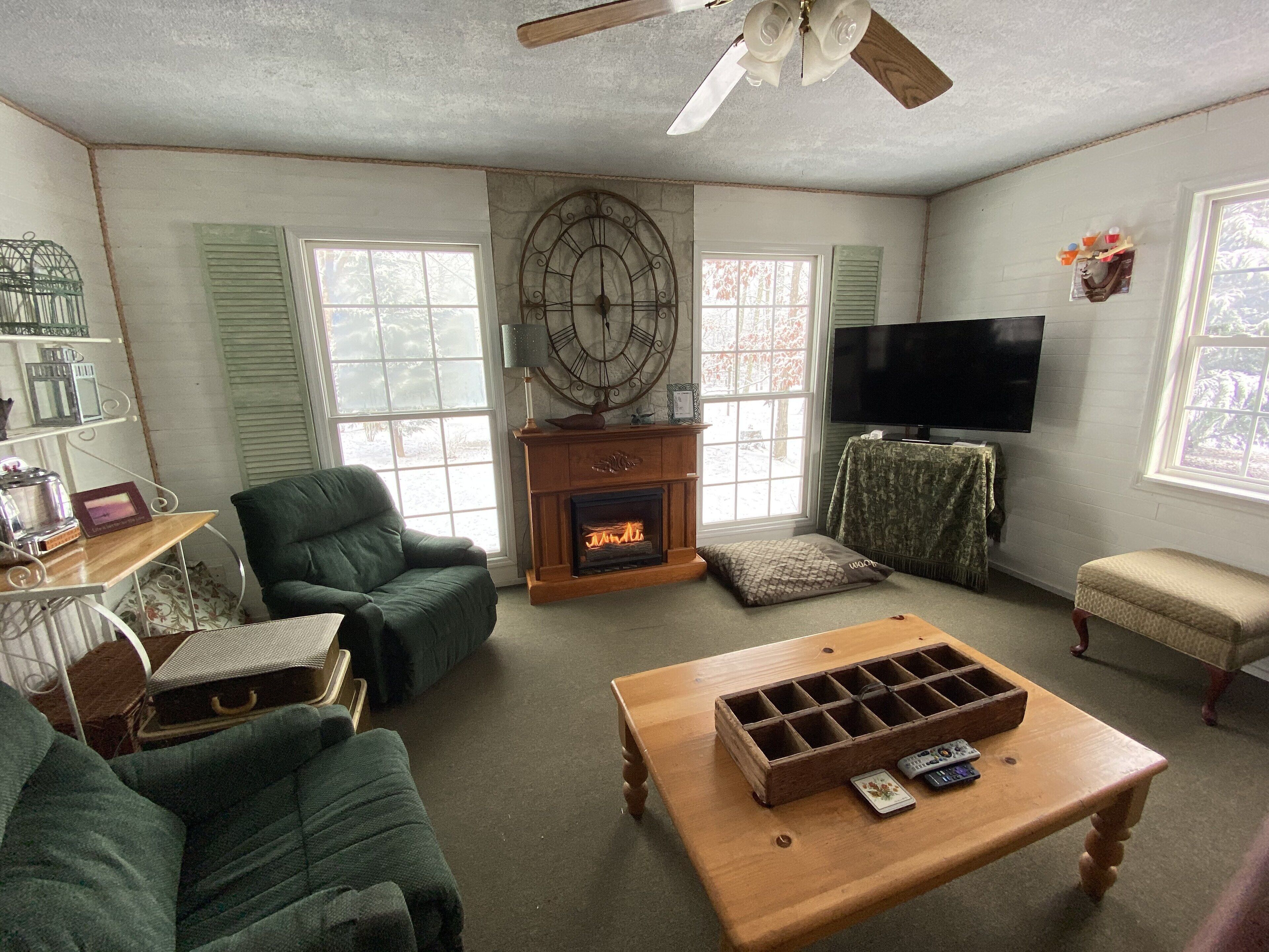 电视、壁炉、DVD 播放器、书