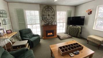 电视、壁炉、DVD 播放器、书