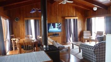 Televisión, chimenea, reproductor de DVD y estéreo