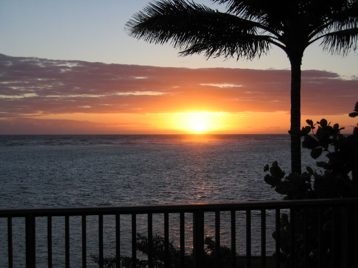 Absolutely Oceanfront/ SimpleRuralHome/ AC rooms/ 30 day rental