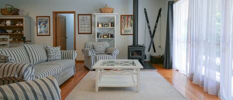 Smart TV, fireplace, video library