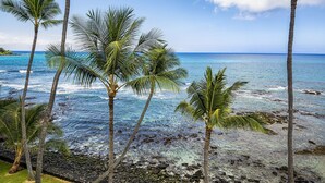 Una playa con palmeras y agua azul cristalina.