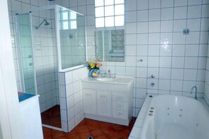 Un bagno con doccia, lavandino e specchio, e una vasca da bagno.