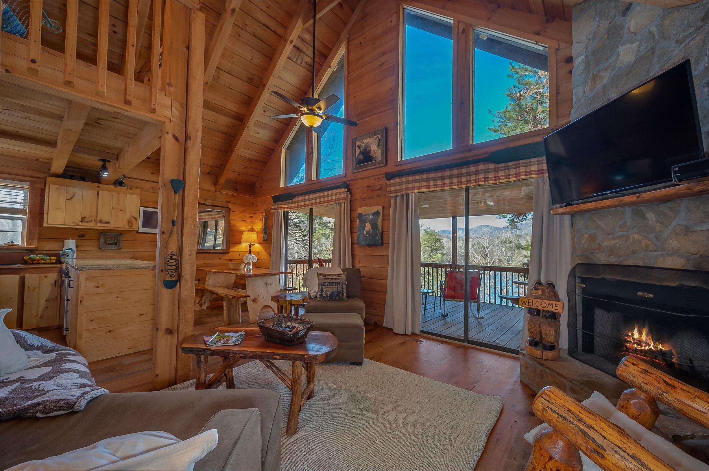 Smart TV, fireplace, video games, DVD player