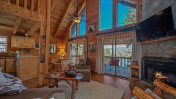 Smart TV, fireplace, video games, DVD player