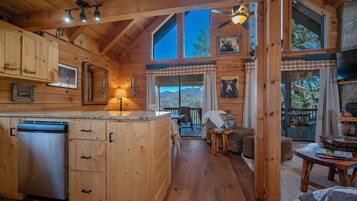 Smart TV, fireplace, video games, DVD player