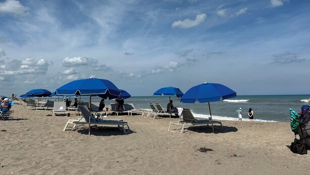 Een strand met meerdere blauwe parasols en ligbedden.