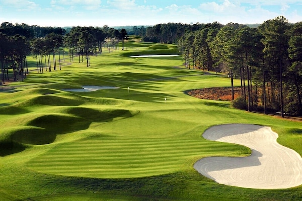 Both new & pro golfers enjoy dozens of top courses across the Grand Strand!