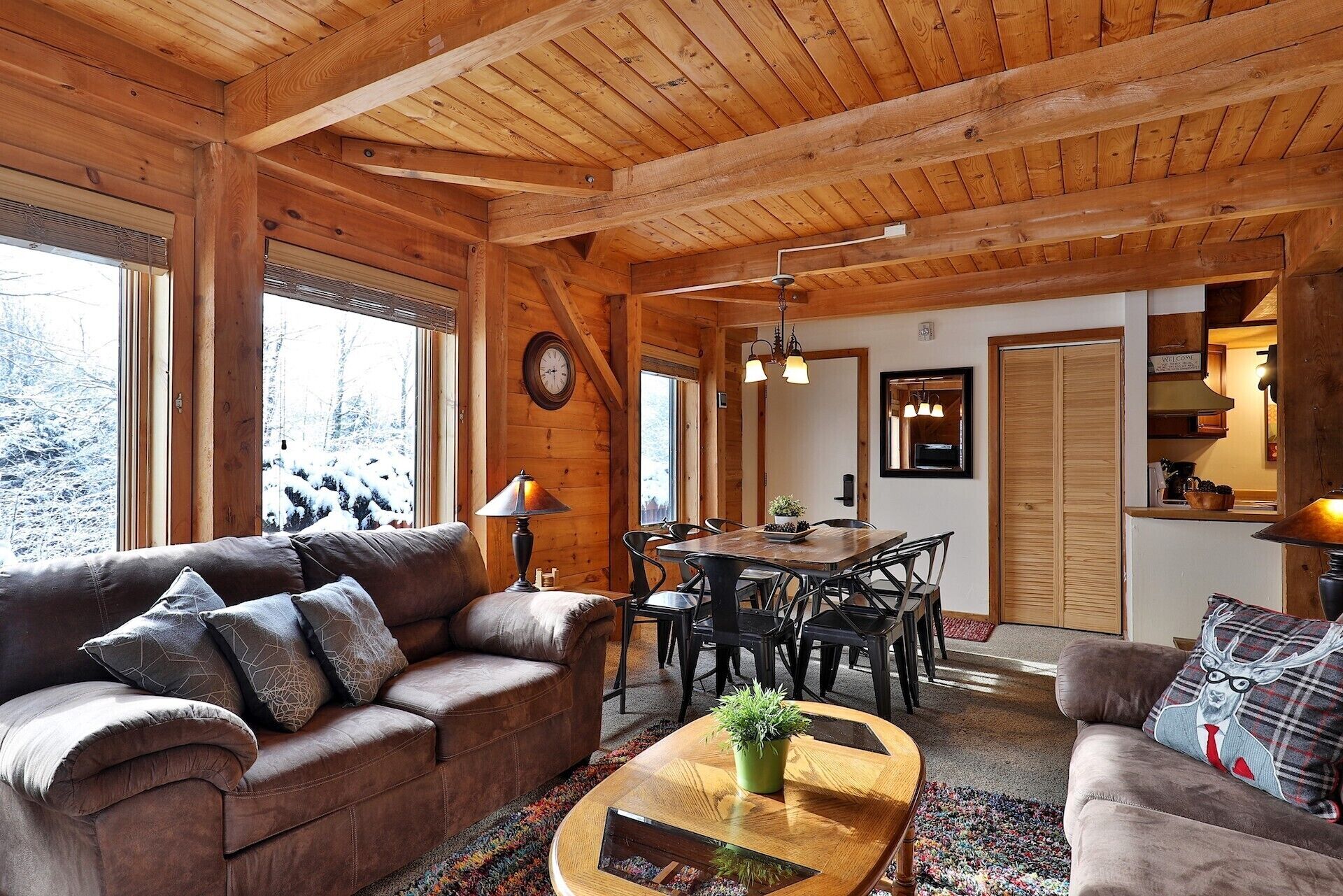 TV, fireplace, video library
