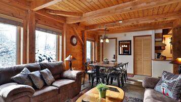 TV, fireplace, video library