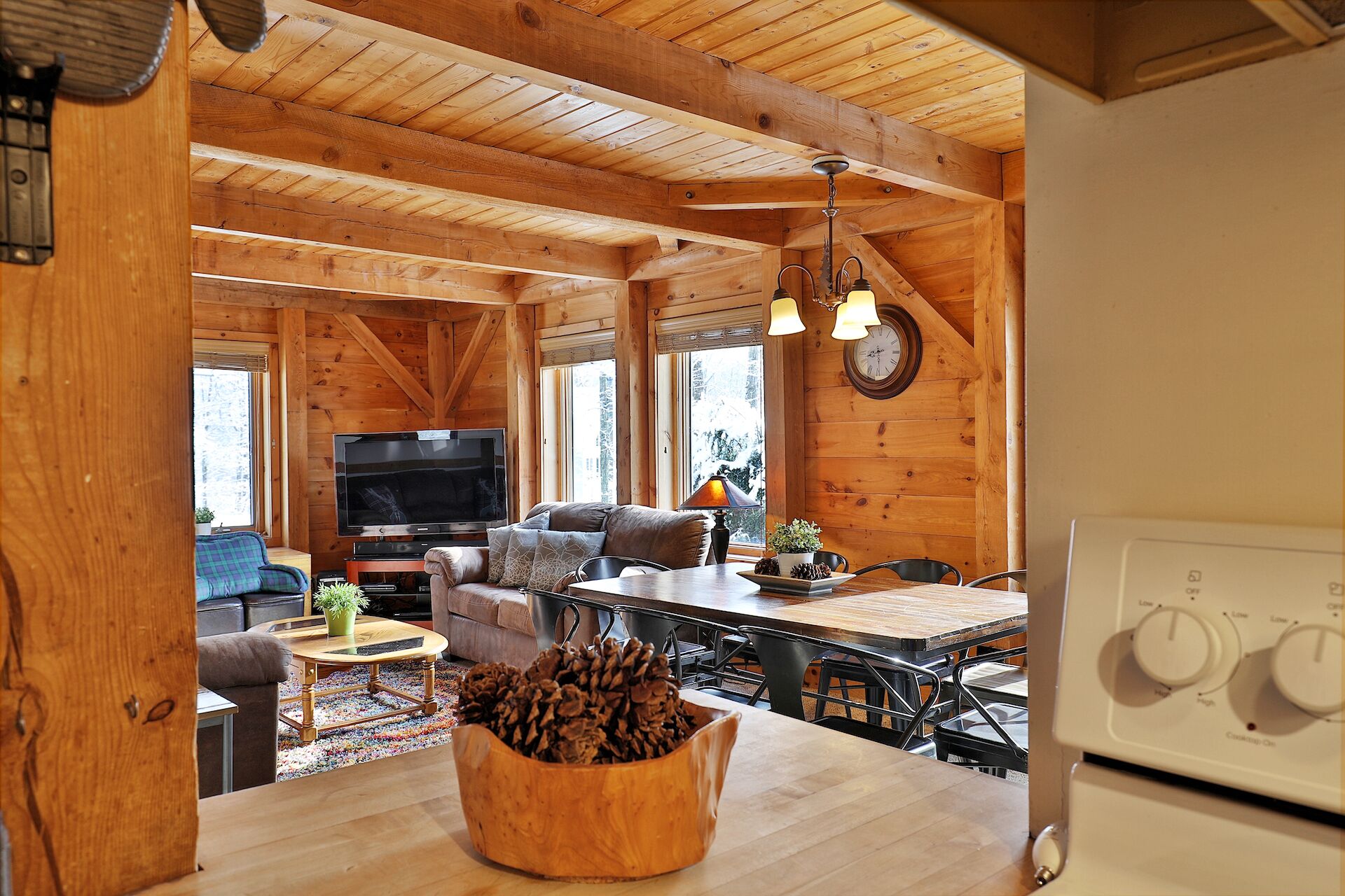 TV, fireplace, video library