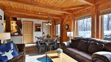 TV, fireplace, video library