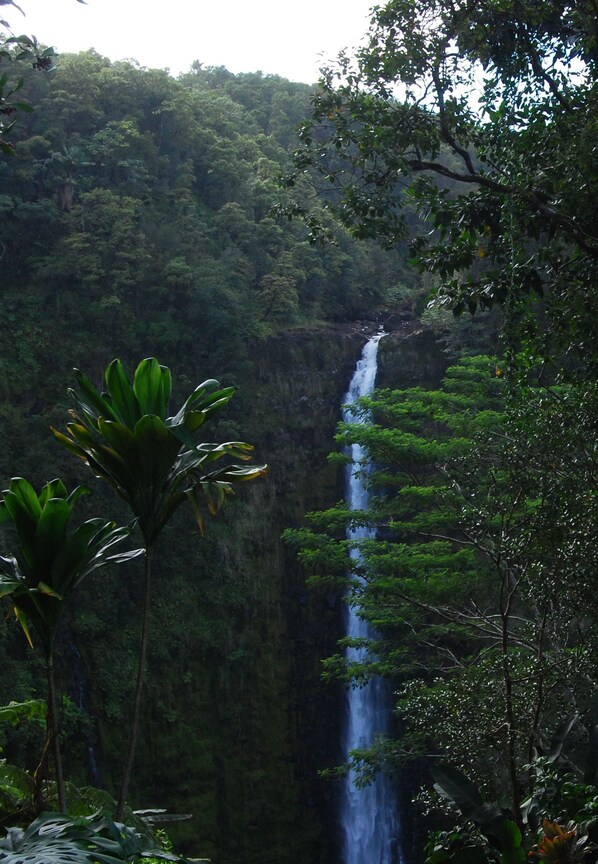 Een waterval omgeven door weelderige begroeiing.