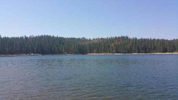 A calm lake with a forested shoreline. - Pinecrestarearentals #8 Comfortable Cozy Cabin! (Cold Springs)