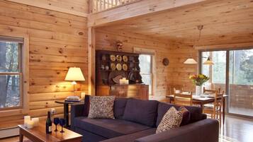 电视、DVD 播放器、书、音乐库