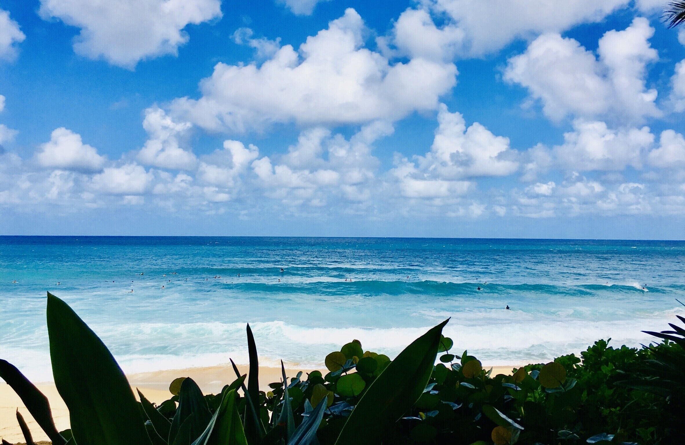 Sun-loungers, beach towels