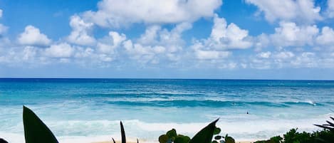 Sun loungers, beach towels