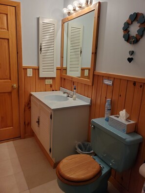 Un baño con paneles de madera, un lavamanos con espejo y un inodoro con asiento de madera, además de un cubo de basura.