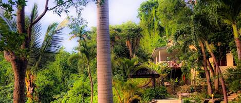 Outdoor pool, an infinity pool, sun loungers