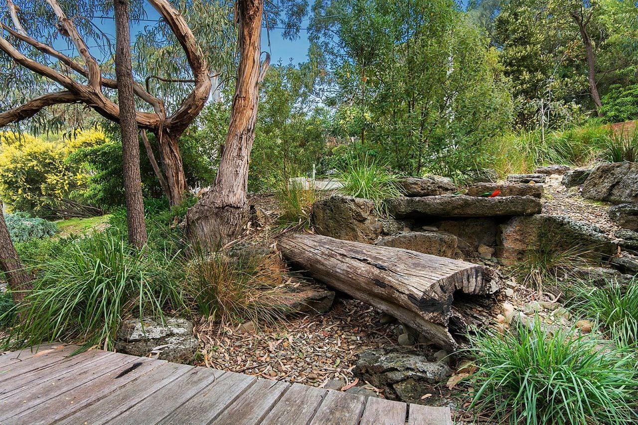 A natural outdoor area with a wooden deck, rocks, and various plants.