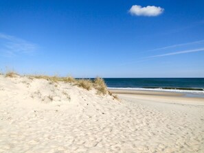 Ein Sandstrand mit Dünen und blauem Himmel.