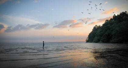 Stunning clifftop seaview house Auckland Clifftop