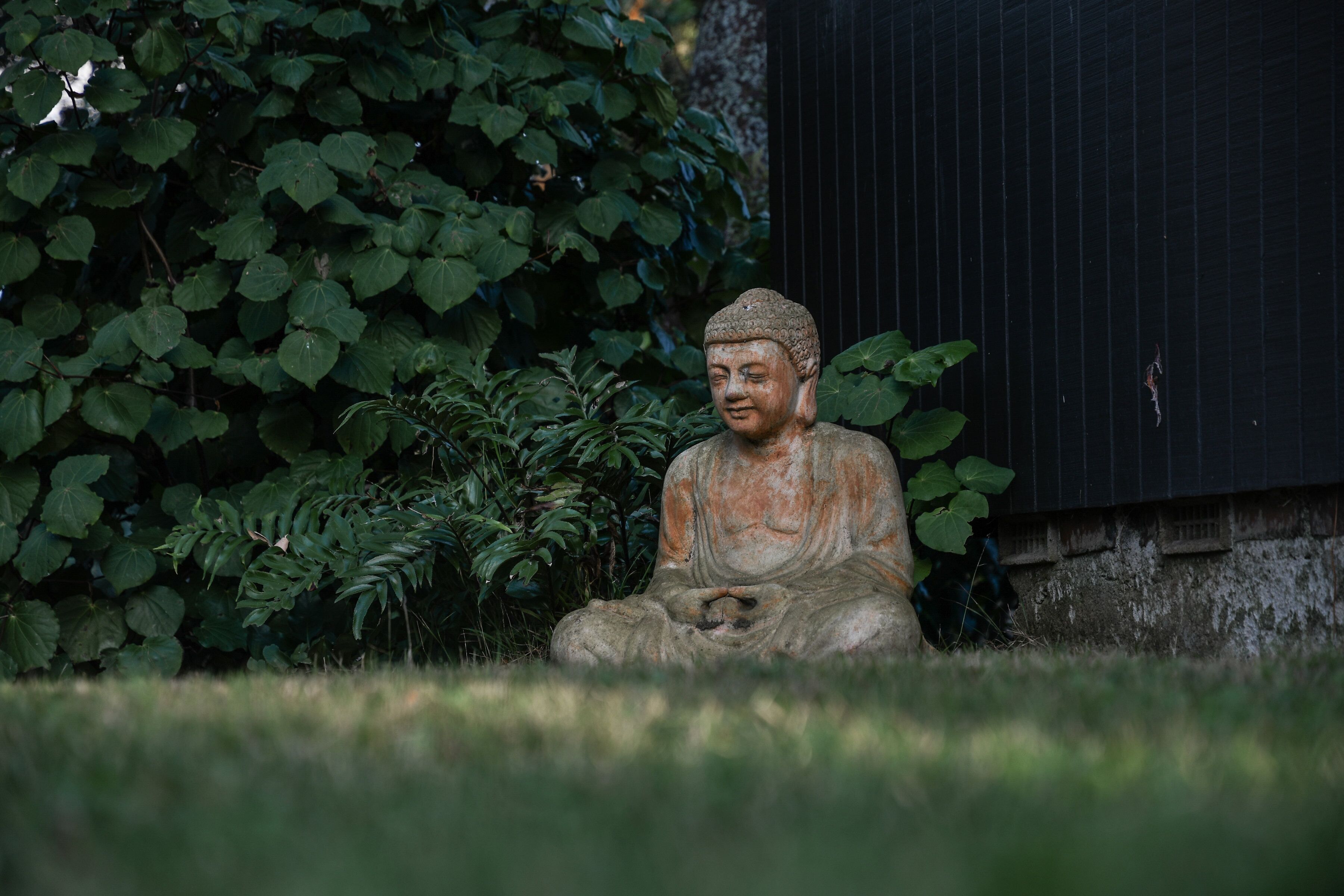A stone Buddha statue in a garden setting.