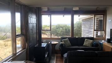 Televisión, chimenea, reproductor de DVD y libros