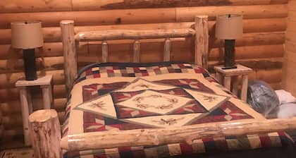 ¡Escape a Bear Lake!