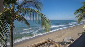 A beach with palm trees, a stone pathway, and beach umbrellas. - Beachfront Delfin Estate with Pool (Sleeps 41) (Mazatlán)