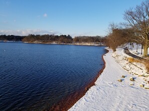 A snow-covered lakeside path with trees and a clear sky. - Maria's JP Rental - Boston Duplex in Popular Jamaica Plain "JP" area (Boston)