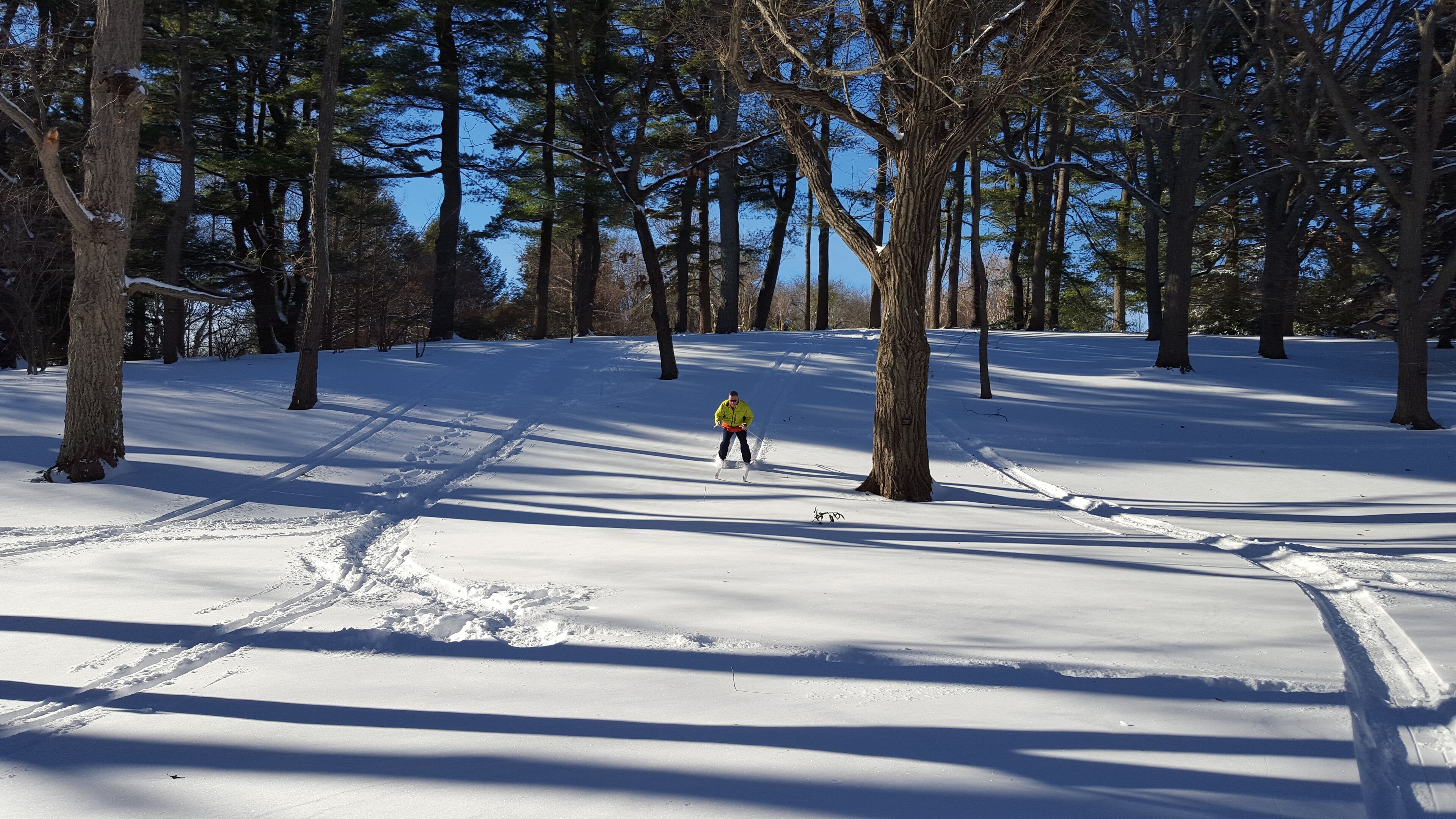 A snowy landscape with a person skiing.